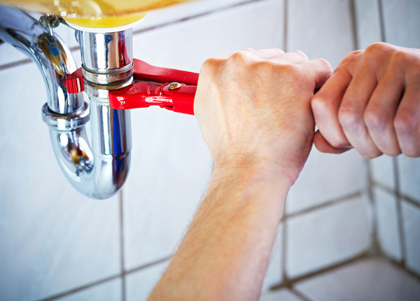 About Amenia Plumbers